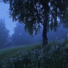 (ambient house) U Always Leave When I Need U