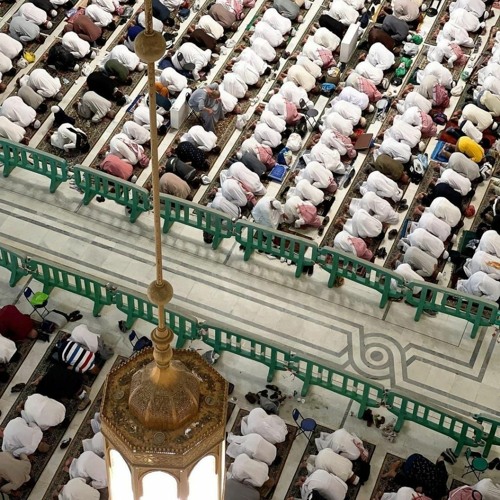 أَلَّا تَخَافُوا وَلَا تَحْزَنُوا وَأَبْشِرُوا | سورة فصلت | القارئ حسن صالح