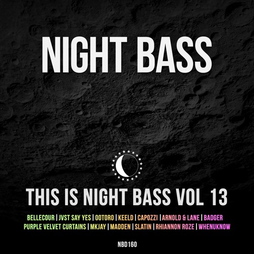 This is Night Bass Vol 13