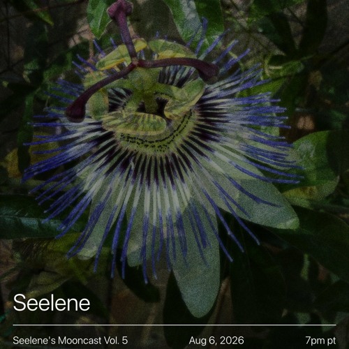 Seelene's Mooncast 5: Vol. 5