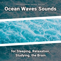 Wave Sounds to Relax Your Brain
