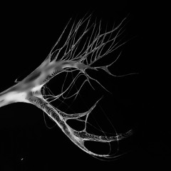 XXXTENTACION ft. Killstation - Limbo [KOPI O EDIT]