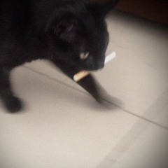 smoke