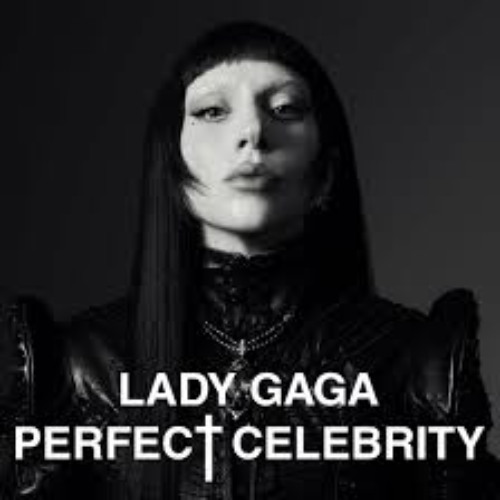 Stream Lady Gaga - Perfect Celebrity (WILD WILD Bootleg) by Oliver
