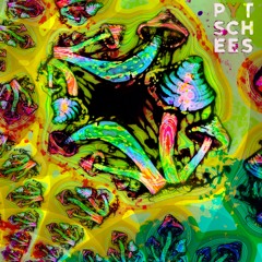 Pytschees - Moonwater