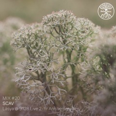Nature Tales Mix #20: Scav - Lāsya @ 9128.Live 2-Yr Anniversary
