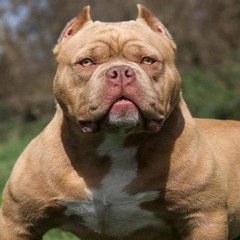 Feat Milionário - Yashiro & Mc Deene