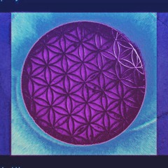 fractalized