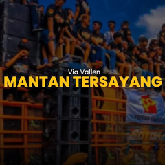 Mantan Tersayang (Remix)