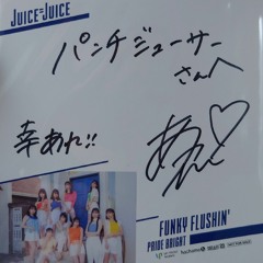 Juice=Juice - FUNKY FLUSHIN' [DJ Chuen PUNCH JUICER Summer Fest Remix]