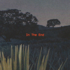 In the end (prod.Sadborrowbanger)