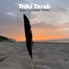 Slow Summer vibes 2025 (Downtempo & Organic house)