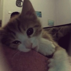 morphy_-на восьмом этаже[x1.1]mp3