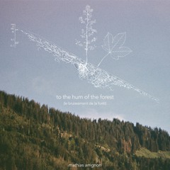 To the hum of the forest