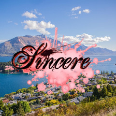 sincere lost media demo