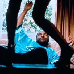 RealActive - WDS Slink