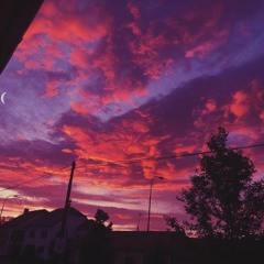 The Suicide Notes 🎵