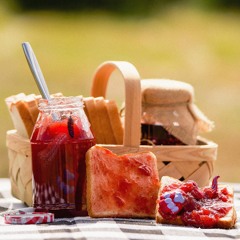 AnimalJam (Redux) - 01 Sertraline