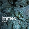 immer 002