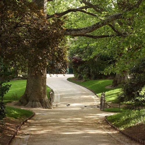 Errance entre deux cours