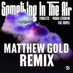 22Bullets, Pascal Letoublon feat. MERYLL - Something In The Air (Matthew Gold Remix)
