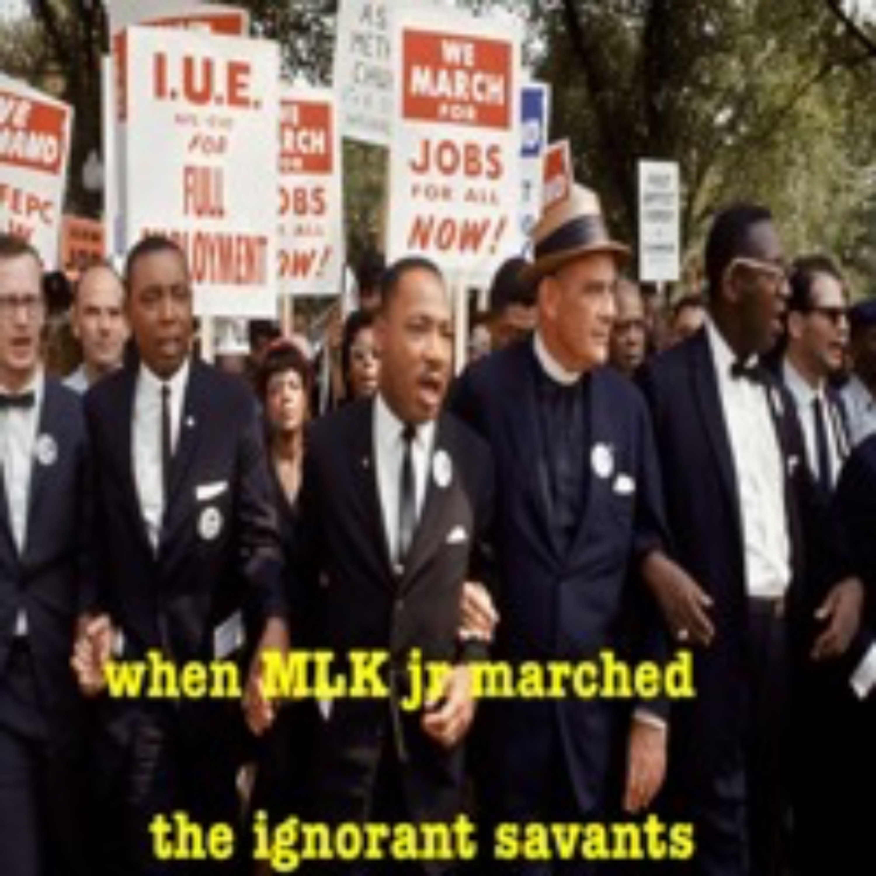 When MLK Jr Marched