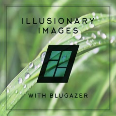 Illusionary Images 113 (Apr 2021)