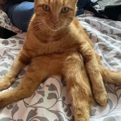 oui c moi