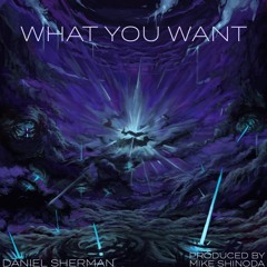 What You Want (Produced By Mike Shinoda)