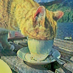 Boson Spin - Friends over for tea [part 45]