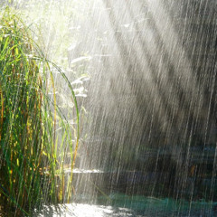 Have You Ever Seen The Rain