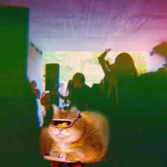 kurzer mix kittytechno #3