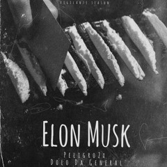 Elon Musk ft Dolo.mp3