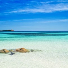 Shibiza Calling! - Summer Vibes 2021
