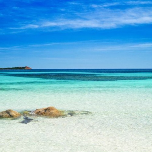 Shibiza Calling! - Summer Vibes 2021