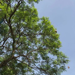 هُوَ ٱلْحَىُّ لَآ إِلَٰهَ إِلَّا هُوَ