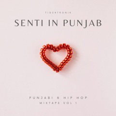 Senti In Punjab Vol. 1 | 2023 Valentine's Podcast | TIGERTRONIK