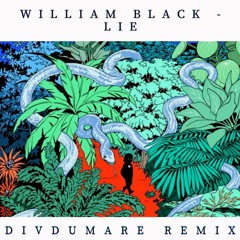 William Black - Lie (Divdumare Remix)