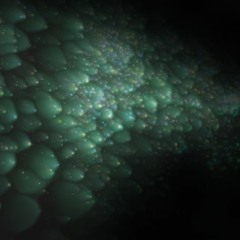 Golden Gate Park/Beauty In the Bubble