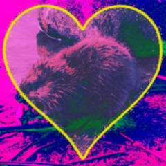 Muskrat Meditations (Fava Bean Love Edit)