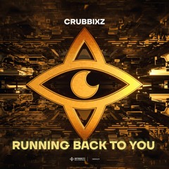 Crubbixz - Running Back To You