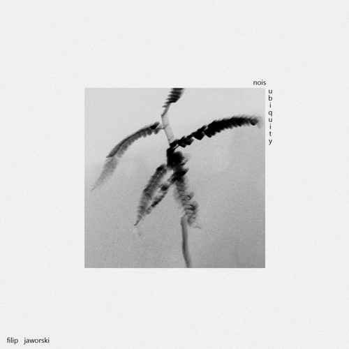 Szelest - Solution, Lifless Pollution