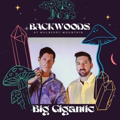 Big Gigantic Interview : On the road to Backwoods at Mulberry Mountain