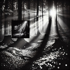Stillness
