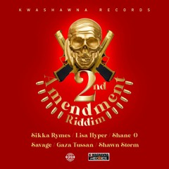 2nd Amendment Riddim Mix (2020) Shawn Storm,Sikka Rymes,Shane O,Lisa Hyper & More(Kwashawna Records)