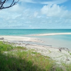 Cagn Aivis #png #24