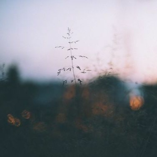 leaf.