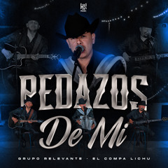 Pedazos de Mi