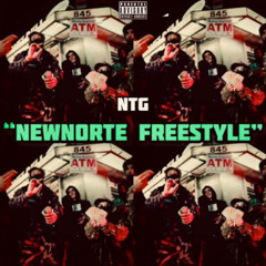 New Norte Freestyle