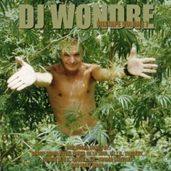 Digga Mixtape Volume 7 (1999)